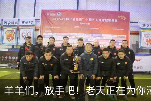 羊羊们，放手吧！老天正在为你清理杂物！